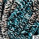 Dolphin Animal Colors
