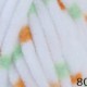 Dolphin Baby Colors