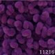 11216